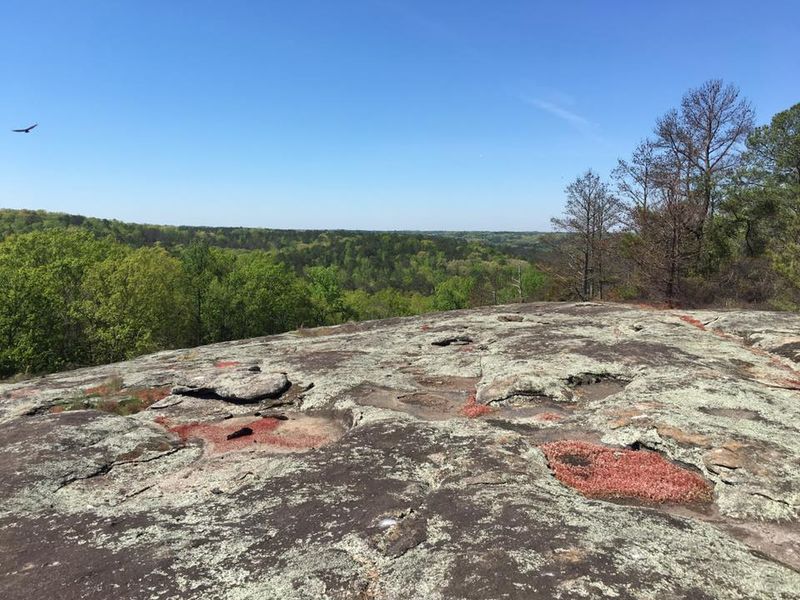 Join A Ranger-Led Hike At Panola Mountain Join A Ranger-Led Hike At Panola Mountain