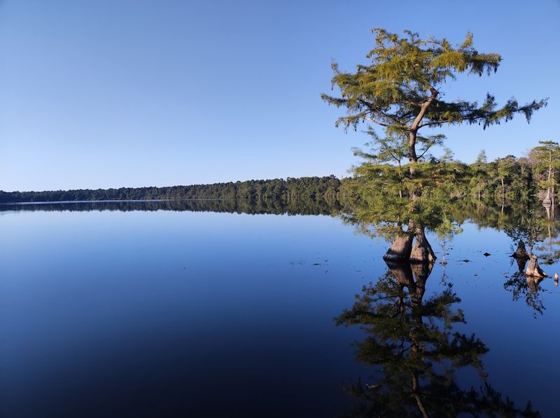 Jones Lake State Park — Elizabethtown, North Carolina Jones Lake State Park — Elizabethtown, North Carolina