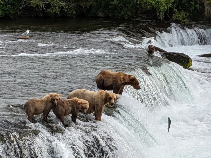 Katmai National Park and Preserve, Alaska Katmai National Park and Preserve, Alaska