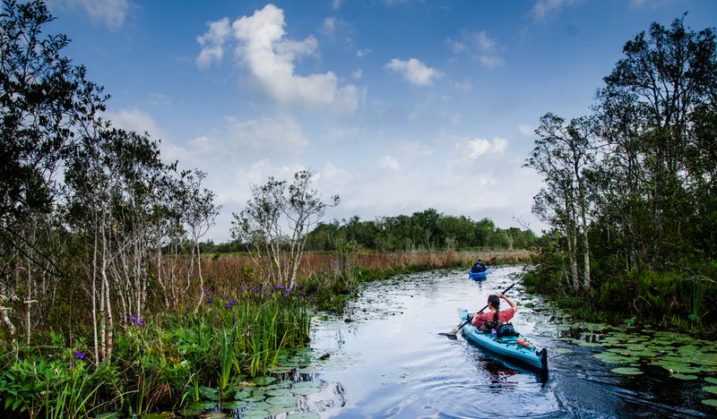 Kayak and Canoe Rentals for the Hands-On Explorer Kayak and Canoe Rentals for the Hands-On Explorer