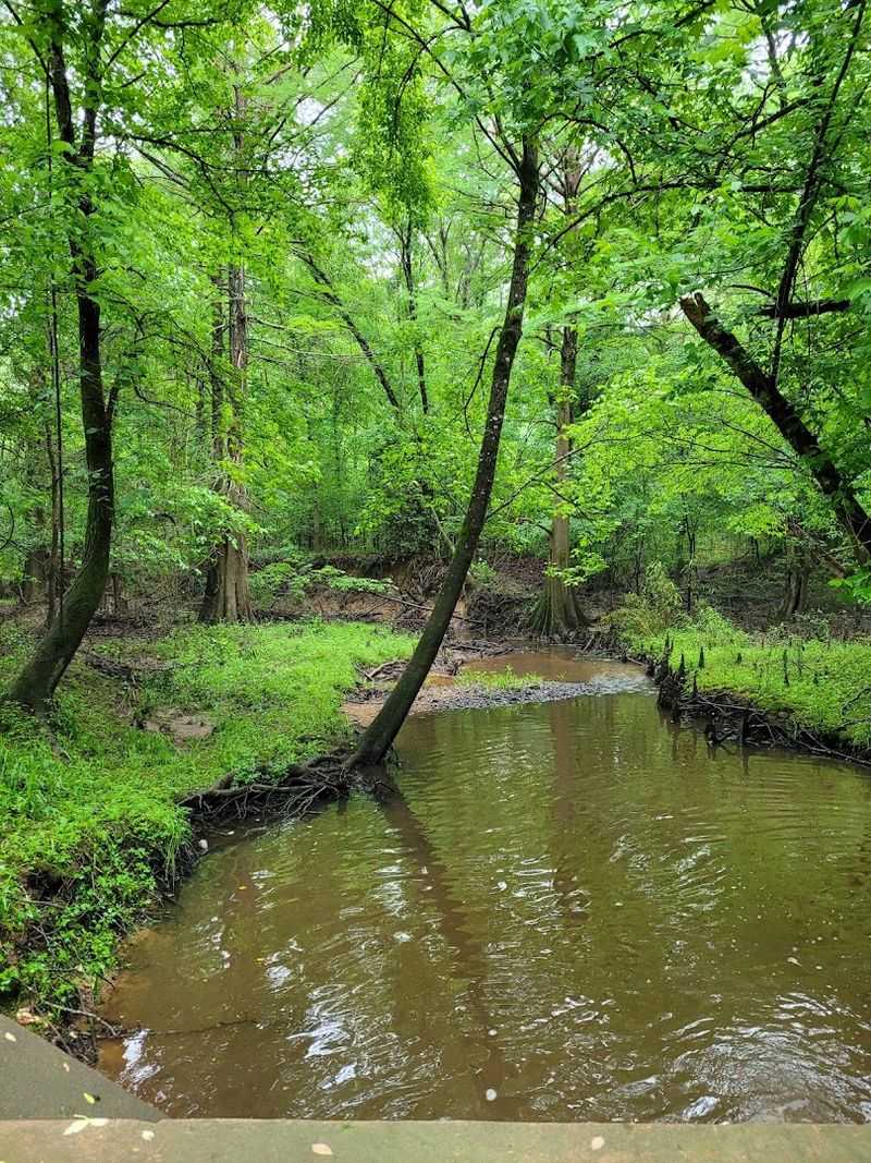 Kayaking and Paddling the Little River