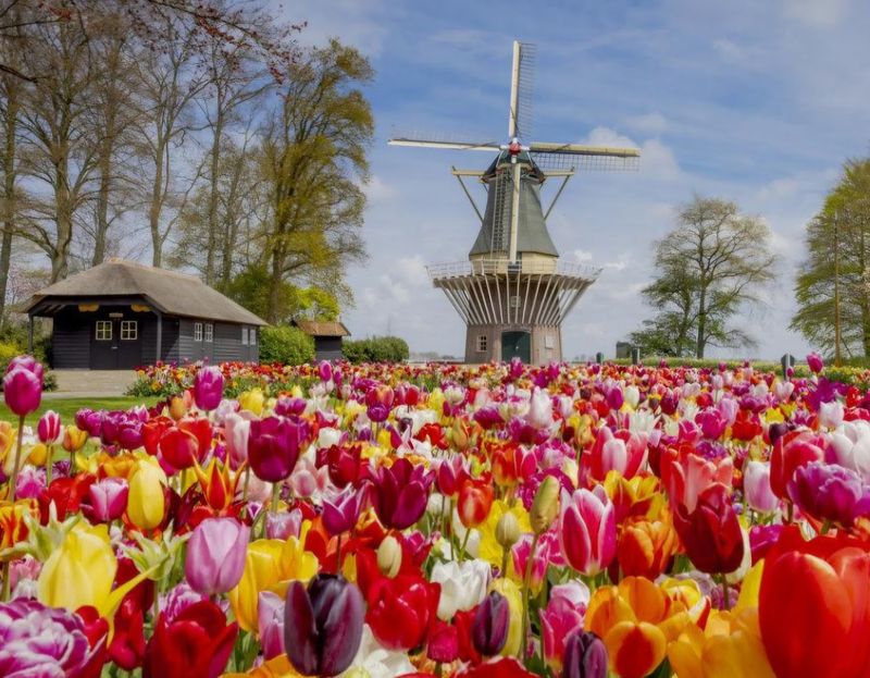 Keukenhof — Lisse, Netherlands Keukenhof — Lisse, Netherlands