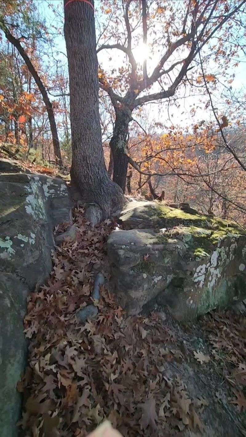 Keystone Ancient Forest — Sand Springs, Oklahoma Keystone Ancient Forest — Sand Springs, Oklahoma