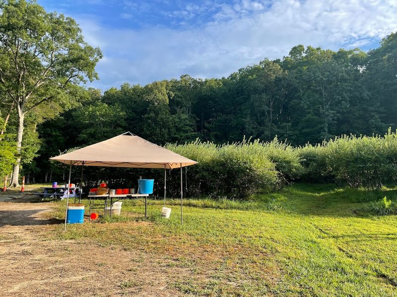 Killdeer Farm, Chapel Hill