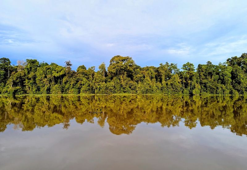 Kinabatangan Wildlife Sanctuary, Sukau, Sabah, Malaysia Kinabatangan Wildlife Sanctuary, Sukau, Sabah, Malaysia
