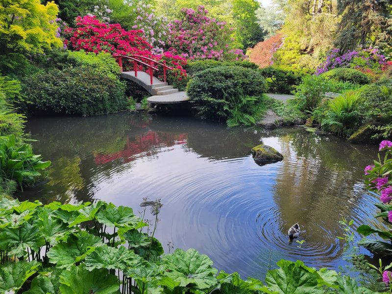 Kubota Garden, Seattle, Washington Kubota Garden, Seattle, Washington