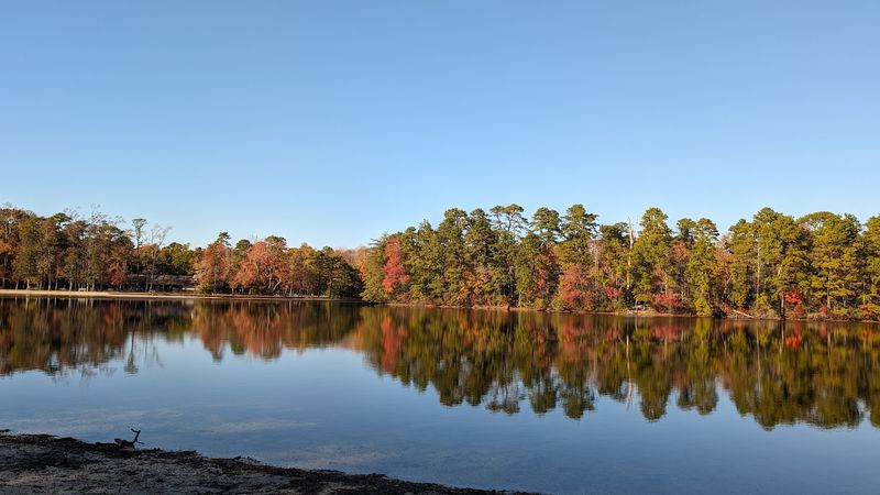 Lake Nummy: The Centerpiece of the Park Lake Nummy: The Centerpiece of the Park