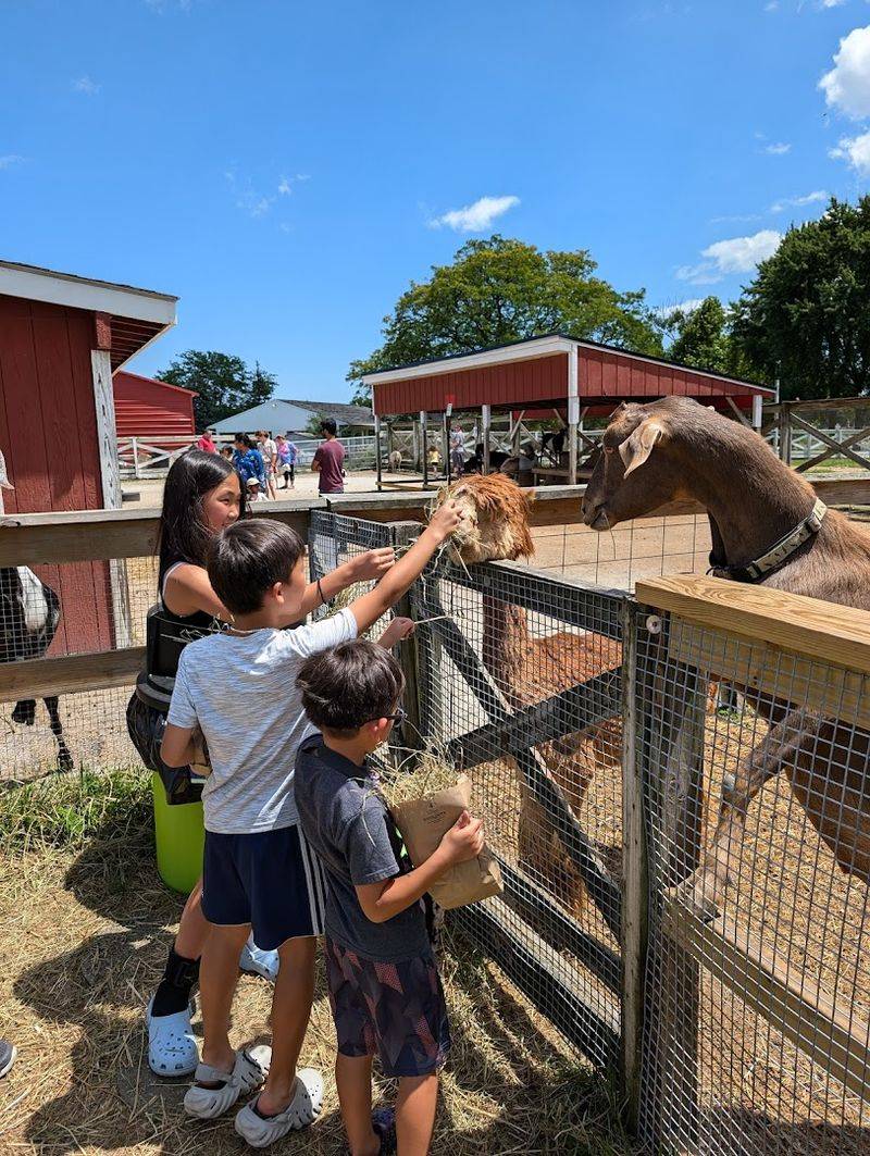 Lambs Farm — Libertyville, Illinois