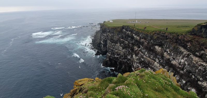 Látrabjarg Cliffs, Westfjords, Iceland