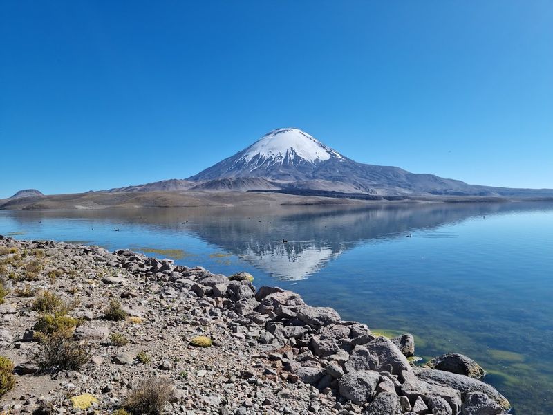 Lauca National Park, Putre, Arica y Parinacota, Chile Lauca National Park, Putre, Arica y Parinacota, Chile