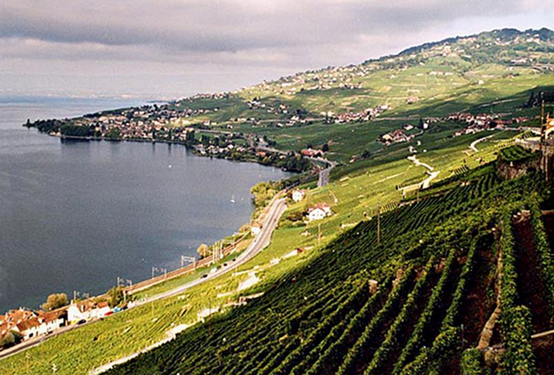 Lavaux, Cully, Switzerland