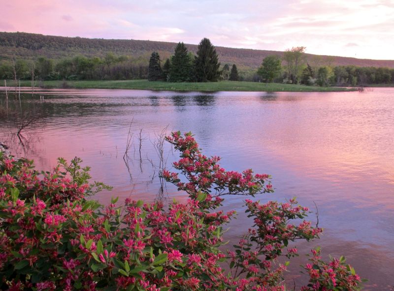 Leaser Lake, Kempton, Pennsylvania