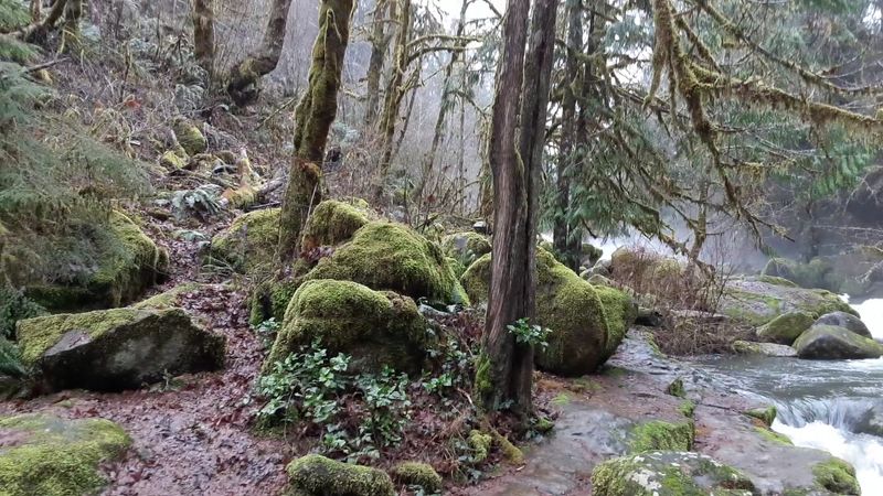 Leave No Trace and Keeping the Falls Beautiful Leave No Trace and Keeping the Falls Beautiful