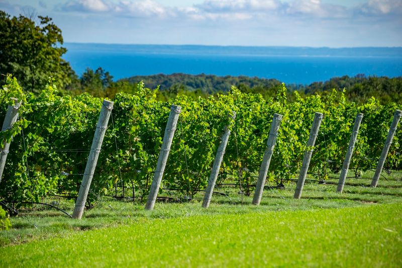Leelanau Peninsula, Michigan