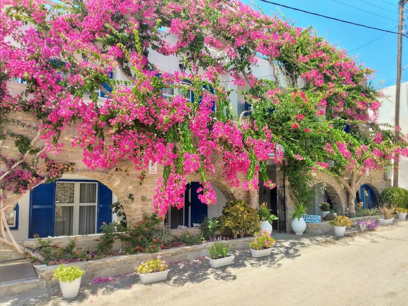 Lefkes – Paros, Greece Lefkes – Paros, Greece