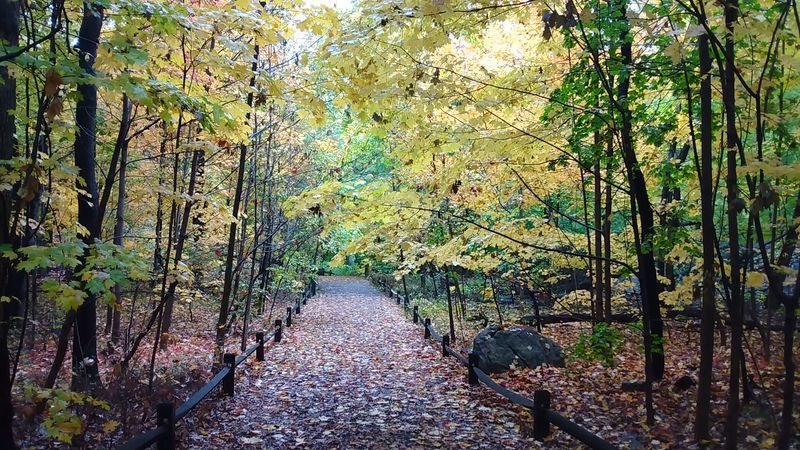 Lenape Trails Still Walked Today