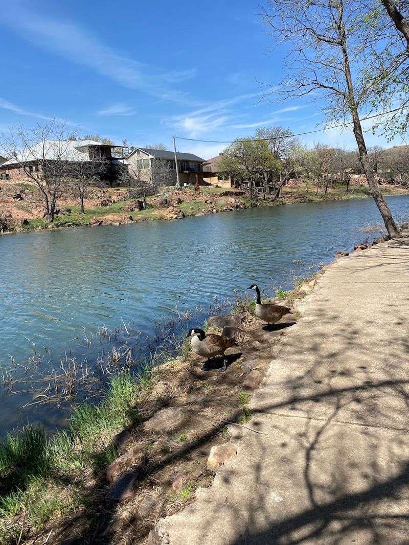 Life Along Medicine Creek Right Outside Your Door