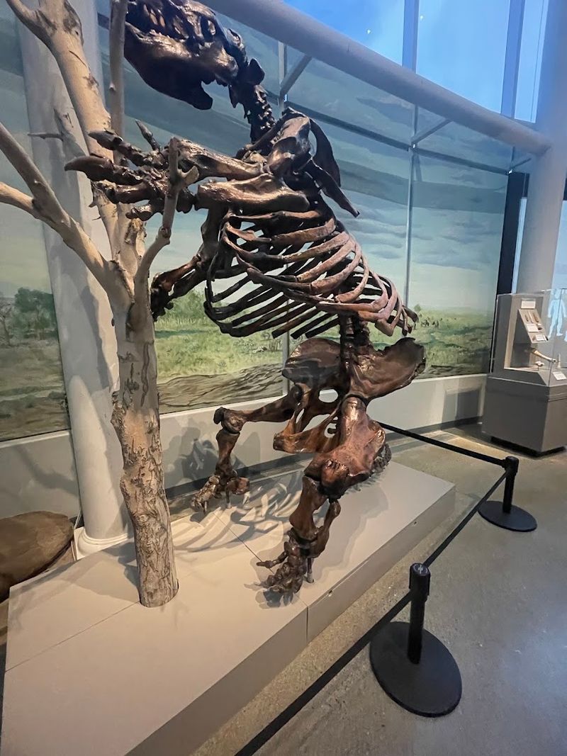 Life Before Dinosaurs: The Permian Monsters Exhibit