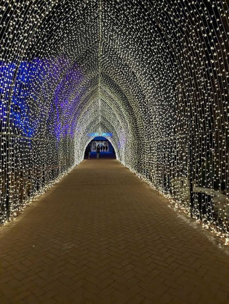 Lightscape: When the Garden Glows After Dark