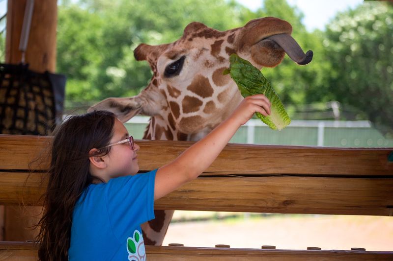 Lincoln Children's Zoo, Lincoln, Nebraska