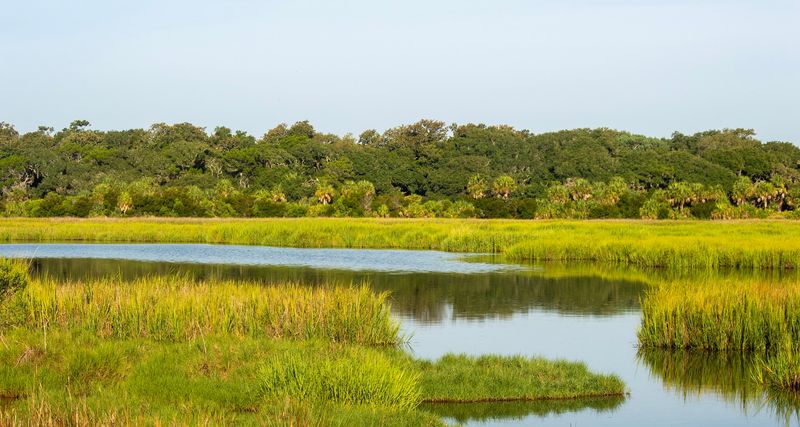 Little St. Simons Island, Georgia Little St. Simons Island, Georgia