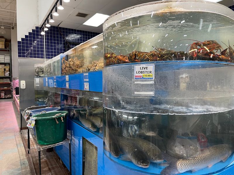 Live Seafood: The Back of the Store Has Surprises