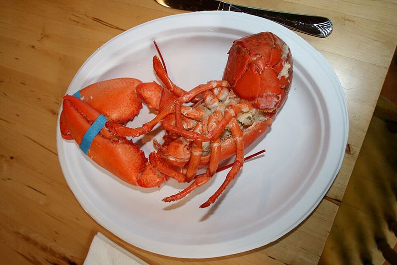 Lobster Lobster