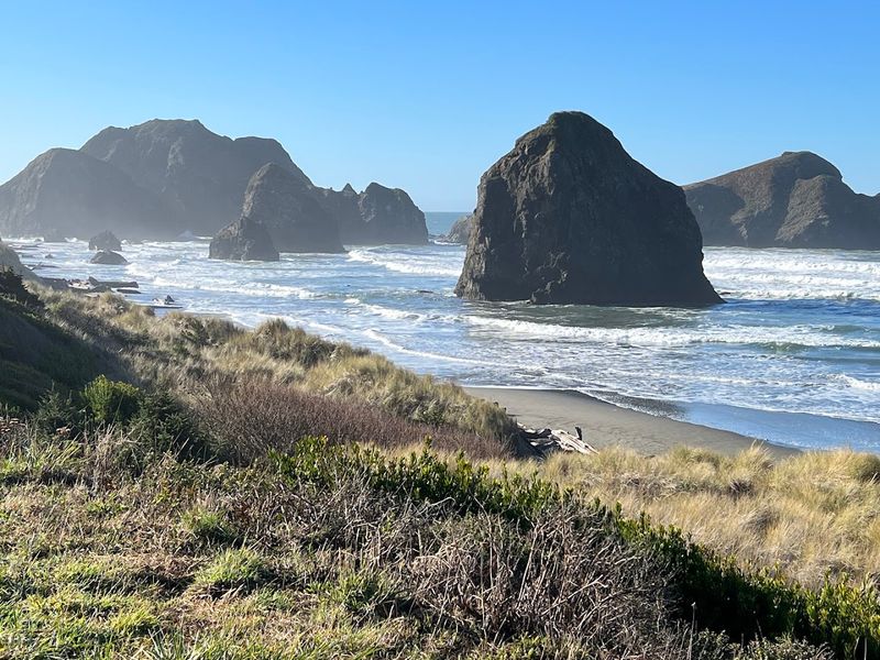 Lone Ranch Beach and Its Tide Pools Lone Ranch Beach and Its Tide Pools