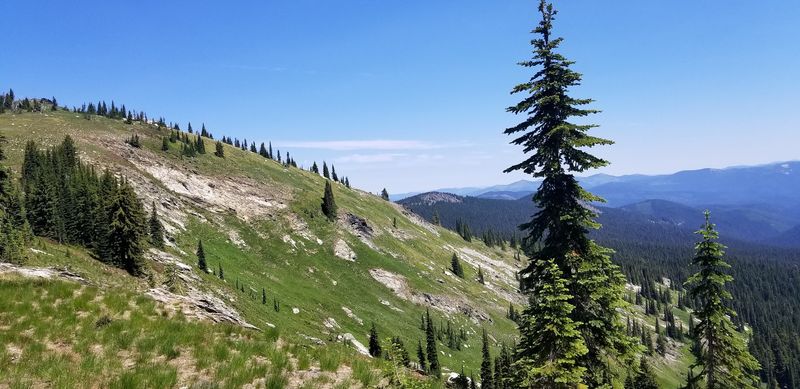 Lookout Mountain Trail, Pierce, Idaho Lookout Mountain Trail, Pierce, Idaho