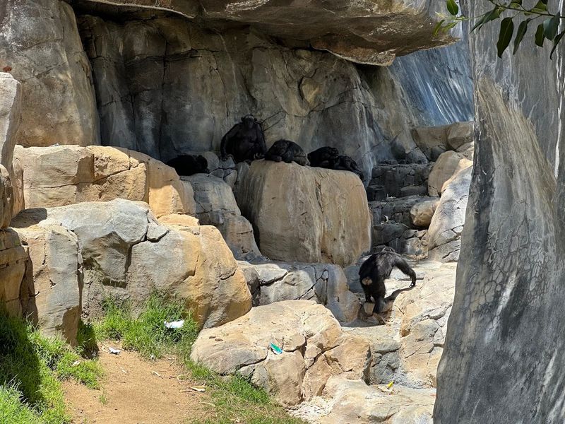 Los Angeles Zoo, Los Angeles, California, USA Los Angeles Zoo, Los Angeles, California, USA