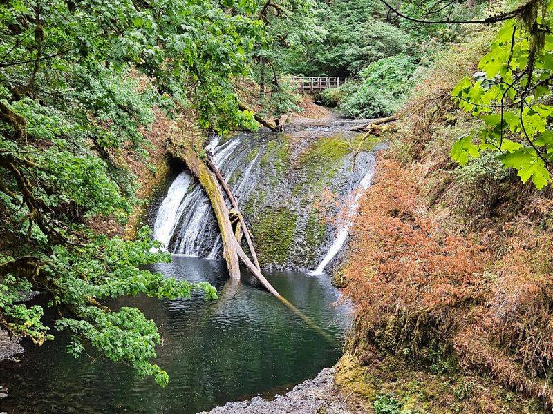 Lower North Falls: The Quiet Reward at the Bottom of the Canyon Lower North Falls: The Quiet Reward at the Bottom of the Canyon