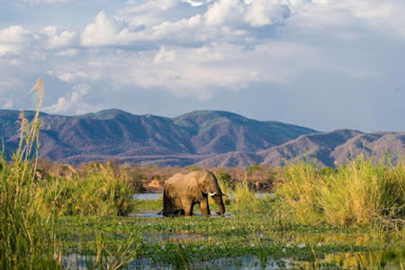 Lower Zambezi National Park, Zambia Lower Zambezi National Park, Zambia