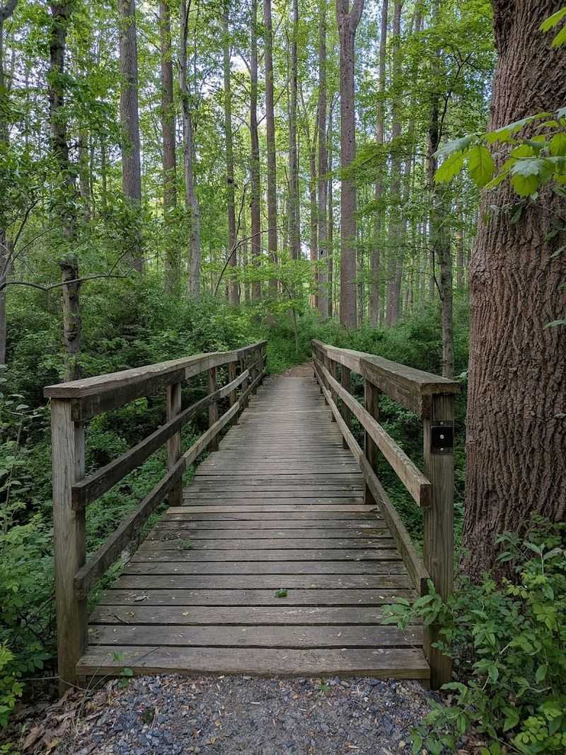 Lums Pond State Park, Bear, Delaware Lums Pond State Park, Bear, Delaware
