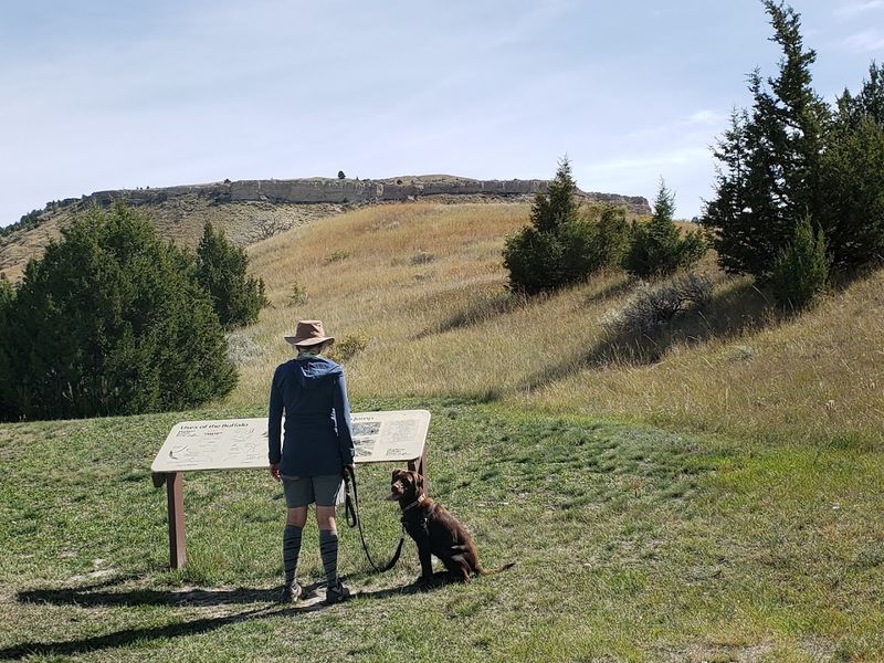Madison Buffalo Jump State Park, Three Forks, Montana