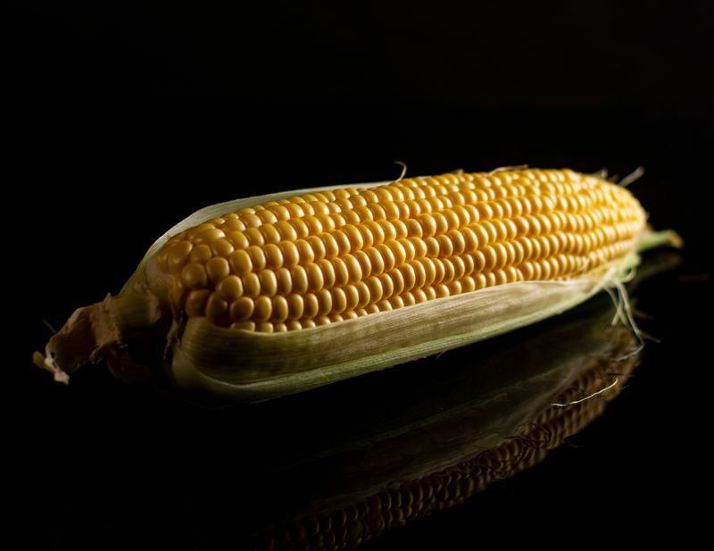 Maize