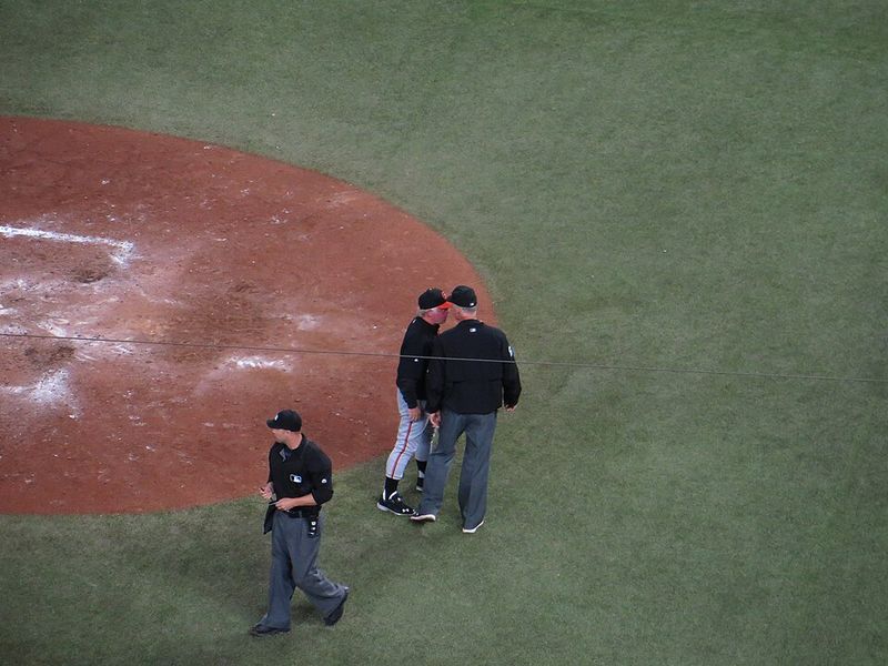 Major League Baseball Went on Strike Major League Baseball Went on Strike