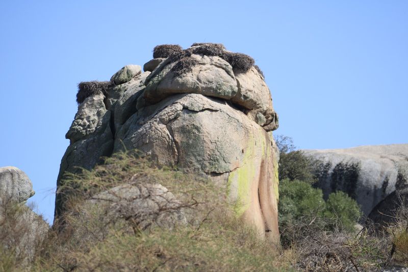 Malpartida de Cáceres, Extremadura, Spain