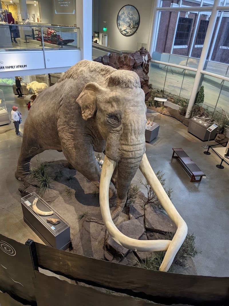 Mammoths, Megafauna, and the Wasden Collection