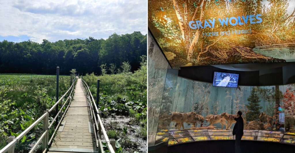 Maryland’s 13,000-Acre “Green Lung” Between Two Cities Is Also a Wildlife Research Refuge