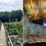 Maryland’s 13,000-Acre “Green Lung” Between Two Cities Is Also a Wildlife Research Refuge