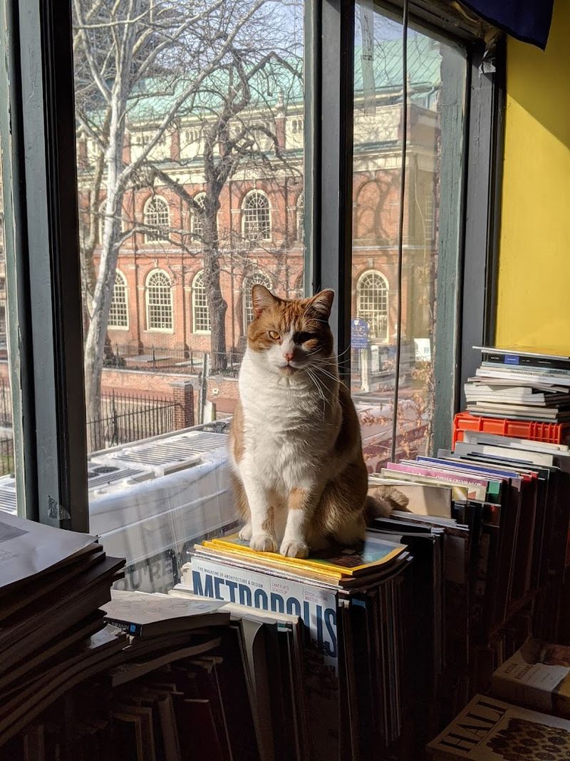 Meet Mr. Pickles, the Store's Most Famous Resident Meet Mr. Pickles, the Store's Most Famous Resident
