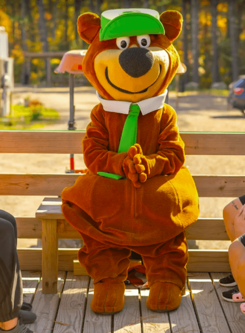 Meet Yogi Bear and Boo Boo: The Cartoon Characters Come to Life Meet Yogi Bear and Boo Boo: The Cartoon Characters Come to Life
