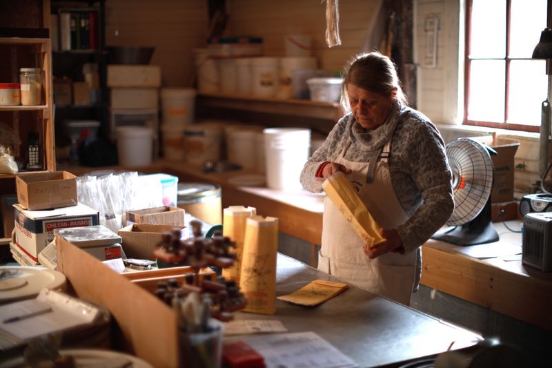 Millie the Mill Cat and the Folks Behind the Counter