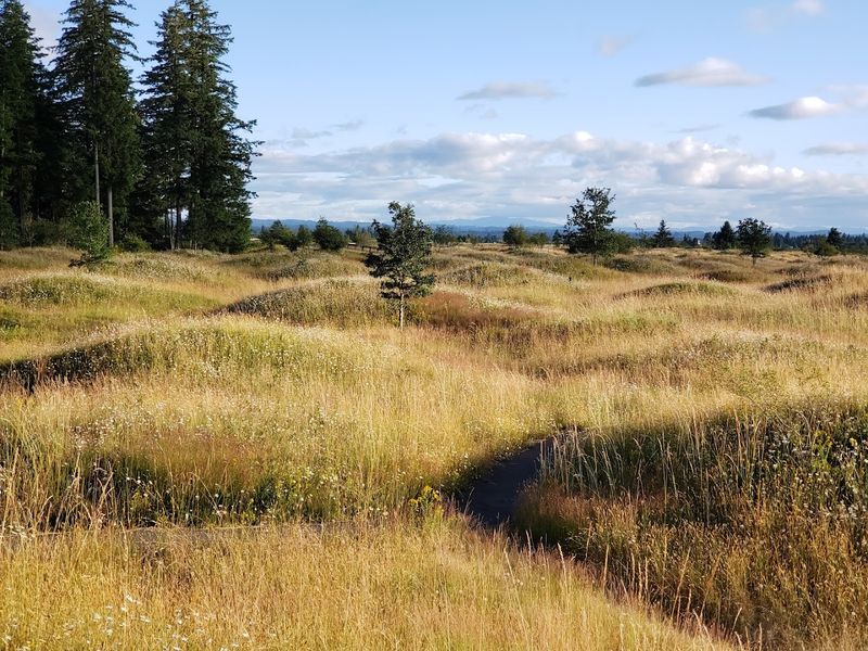 Mima Mounds Natural Area Preserve, Olympia, Washington Mima Mounds Natural Area Preserve, Olympia, Washington