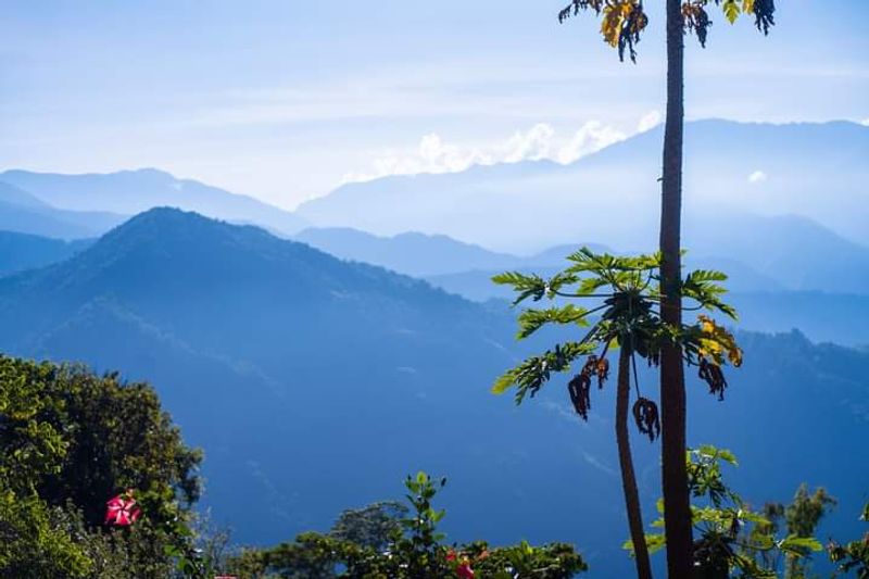 Minca and the Santa Marta Mountains, Colombia