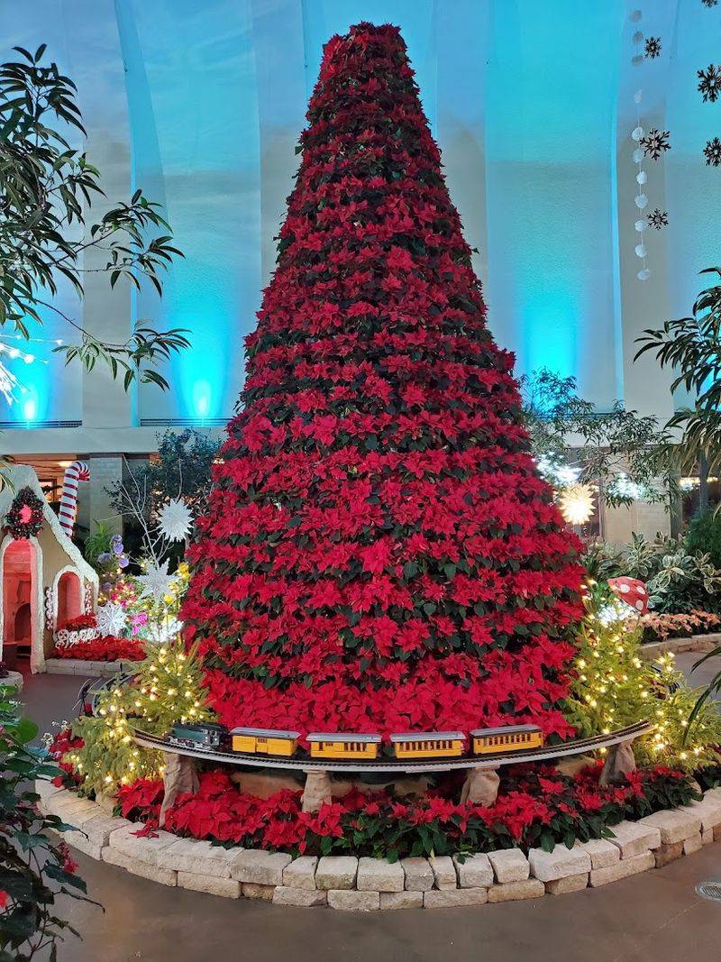 Model Railroad Garden: Tiny Trains, Big Smiles Model Railroad Garden: Tiny Trains, Big Smiles