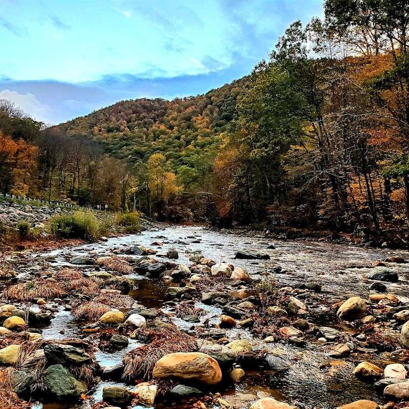 Mohawk Trail State Forest, Charlemont Mohawk Trail State Forest, Charlemont