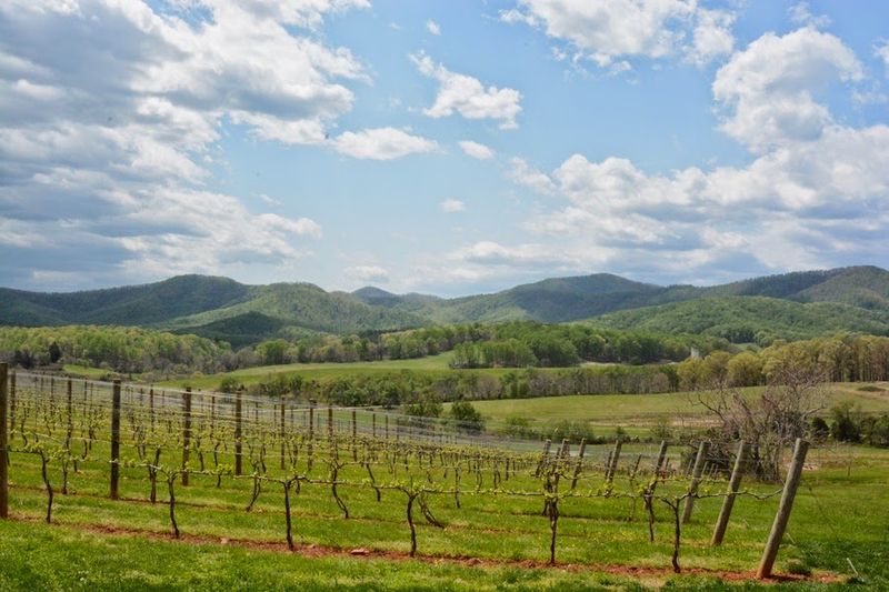Monticello Wine Trail, Virginia