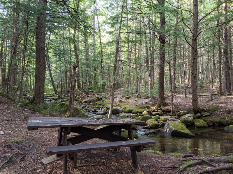 Moose Brook State Park Campground, Gorham, New Hampshire Moose Brook State Park Campground, Gorham, New Hampshire