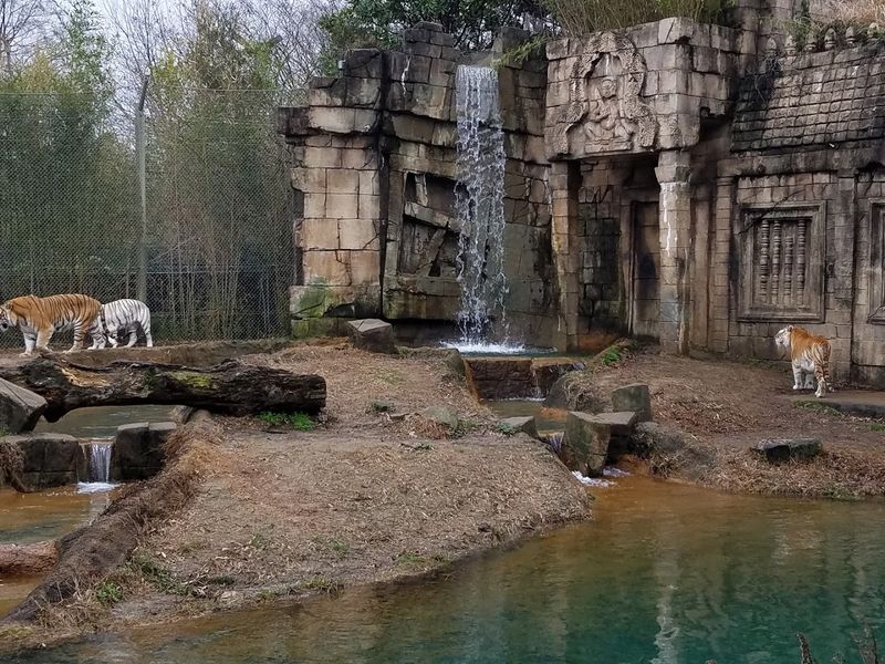 More Than 3,500 Animals and Counting More Than 3,500 Animals and Counting